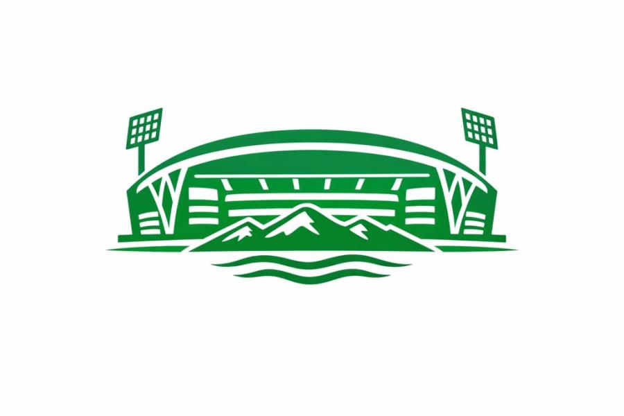 One New Zealand Stadium